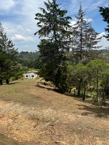 Lote En Venta, Paraje La Castro, Sector Garrido.