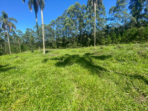 Imagem 19 de 27 de L38- Lotes Com Segurança E Otimo Valor