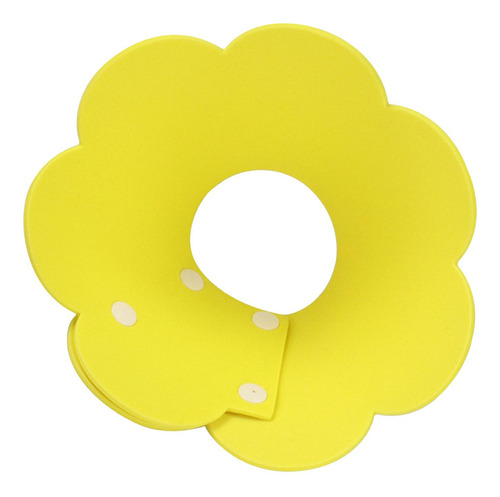 Collar De Cono De Gato, Cono Isabelino, Cono De Perro, Cono