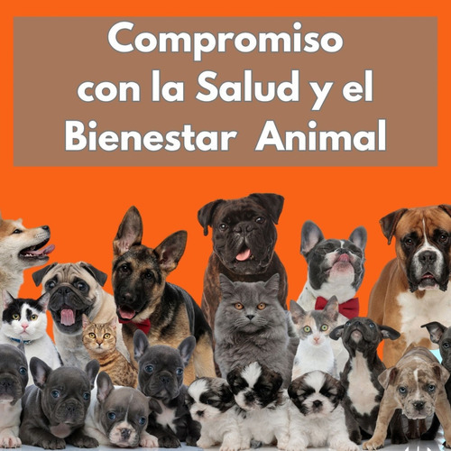 Alimento Top Nutrition Senior Pequeño 7,5kg Perro Small Adul