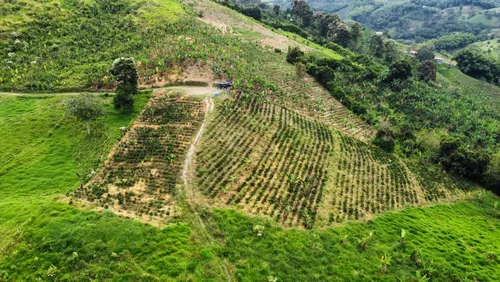 Venta De Finca De 21 Cuadras Cerca De Arabia