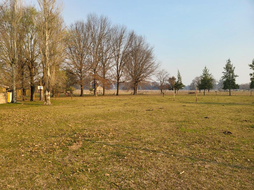 Imagen 14 de 17 de Venta-casa Quinta- Arroyo De La Cruz-zona Norte- 3 Ambientes- Pileta