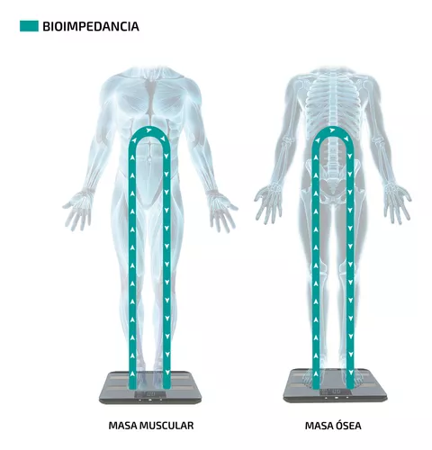 Balanza Medidora de Grasa Corporal OMROM de 180 Kilos