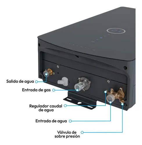 Calentador Digital De Paso Gas Natural 12 Lt Tiro Forzado