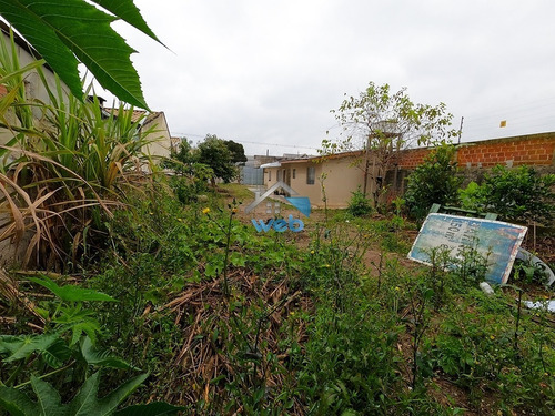 Imagem 9 de 26 de Terreno Com 550m² À Venda No Bairro Cajuru, Excelente Para Moradia Ou Investimento, Próximo A Rua Dos Ferroviários. - Te00160 - 71151119