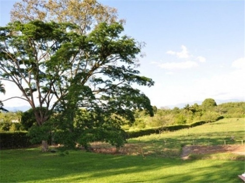 Imagen 5 de 29 de Venta Finca En Santagueda. Cod:305599