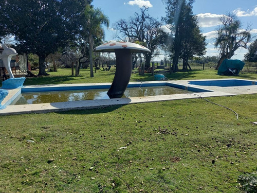 Imagen 8 de 18 de Chacra - Gualeguay