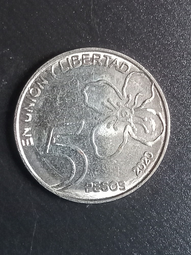 Argentina 2020. Moneda De 5 Pesos, Con Error. Mira!!! (Usado)