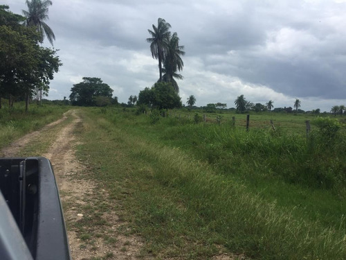 Imagen 8 de 24 de Finca En Barinas A Orilla De La Carretera