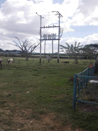 Imagen 4 de 13 de Vendo Finca En Montalban (doris Tovar )