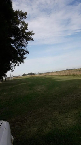 Imagen 5 de 18 de Venta Chacra 40 Hs Con Criadero De Cerdos En Las Flores.