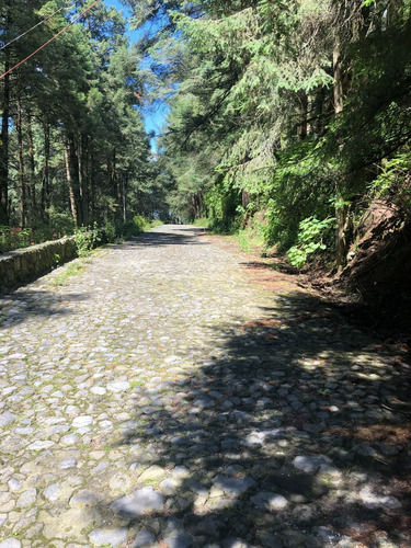 Imagen 13 de 19 de Terreno En Venta, Villa Alpina, Naucalpan, Estado De México