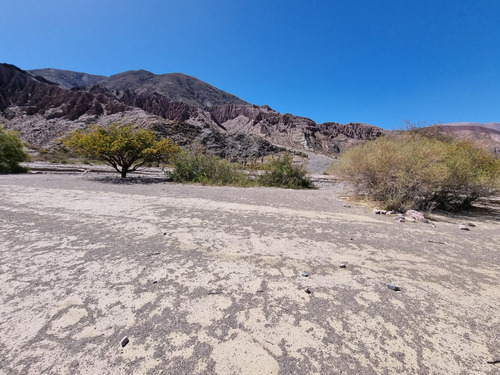 Venta Terreno En Purmamarca Sobre Ruta 5.387,54m²