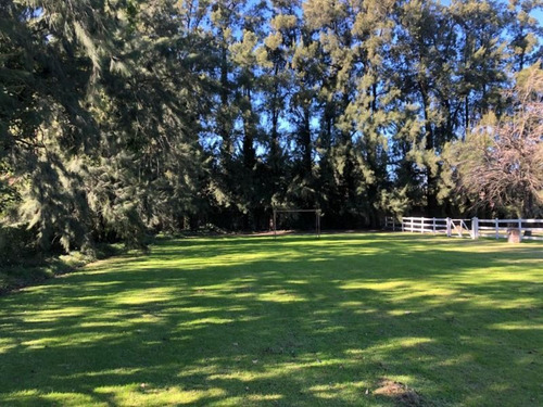 Imagen 3 de 7 de Venta De Lotes En Chacras De Canning. Oportunidad