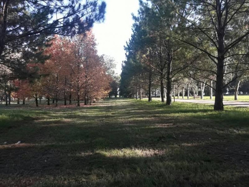Imagen 4 de 17 de Lotes Premium En Estancia Villa Maria