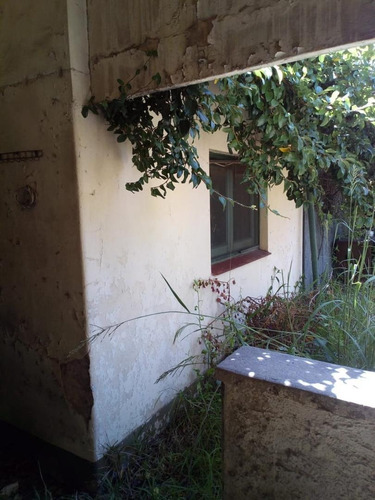 Imagen 13 de 25 de Chalet 3 Amb Amplio A Reciclar- Lote 880 M2 - V.ballester