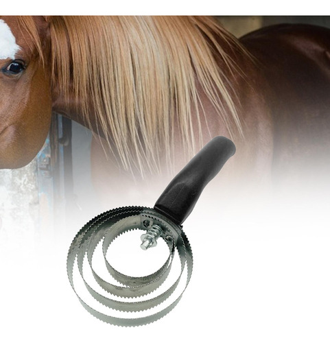 General Peine De Curry De 4 Anillos, Práctico Cepillo Negro