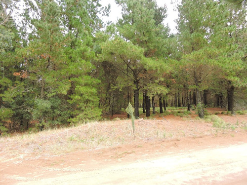 Lote En Venta Sendero I . Costa Esmeralda