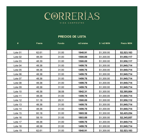 Terreno Venta Los Lirios Montemorelos