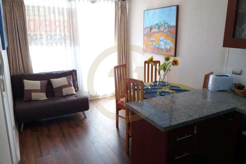 Arriendo Depto Amoblado 1d 1b Concepción