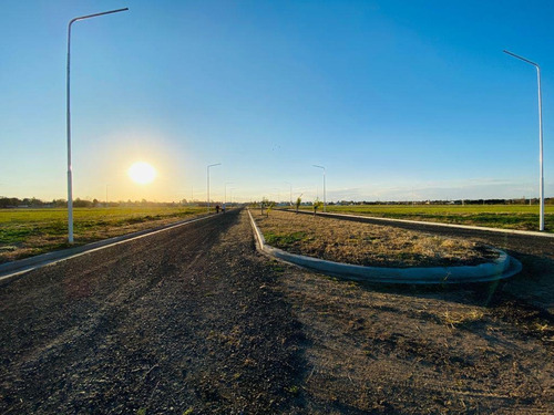 Imagen 11 de 18 de Terreno - Ricardone