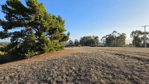 Parcelas Planas En Algarrobo Norte En Condominio Consolidado