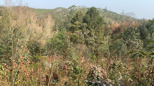 Imagem 13 de 14 de 34ei Terreno Igaratá Com Entrada Apenas De $ 5 Mil