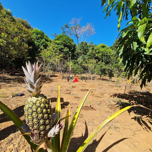 Imagem 10 de 13 de Chácara Para Venda Em Itatiaiuçu, Mg431, 3 Dormitórios, 1 Banheiro - 70618_2-1622844