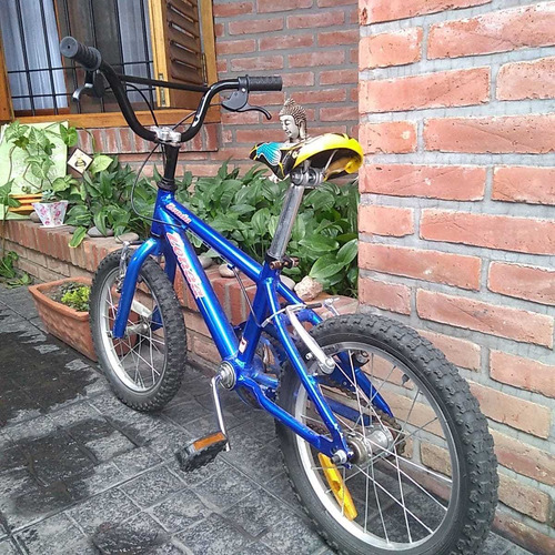 Bicicleta