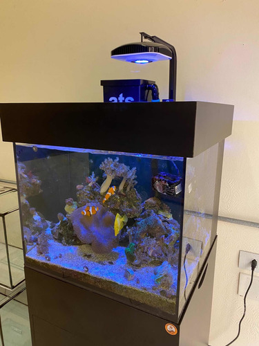 Imagem 3 de 10 de Luminaria Corex Mini Para Aquario Marinho - Bluetooth 78w