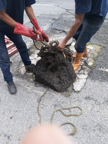 Camion Vactor, Limpieza De Alcantarillas Y Drenajes.