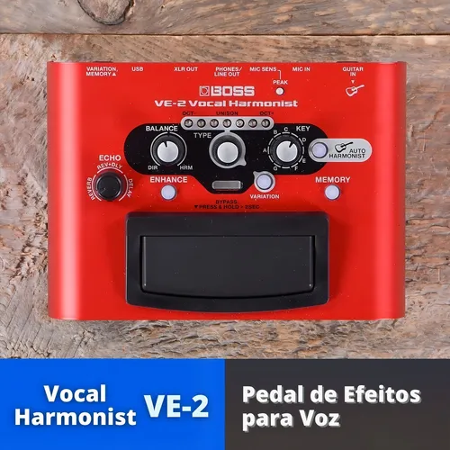 BOSS - VE-2 | Vocal Harmonist