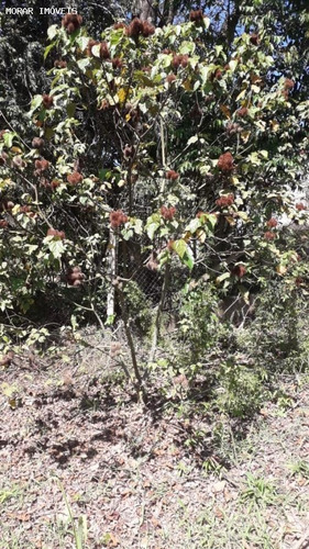 Imagem 13 de 15 de Chácara Para Venda Em Cajamar, Ponunduva, 1 Dormitório, 1 Banheiro, 1 Vaga - A1985_2-1124448