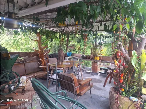 Venta Casa Campestre Salento. Quindío - Colombia Cod: 9054527