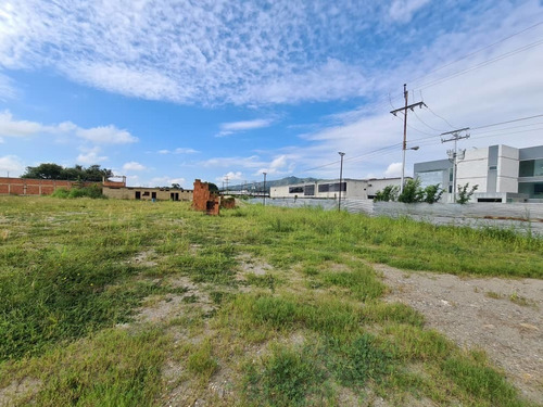 Imagen 5 de 9 de Terreno En Venta,monteserin,proyecto De Galpones Lemt-098 Eb