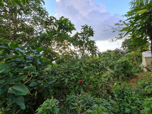 Imagen 13 de 14 de Finca En Cachipay Cundinamarca