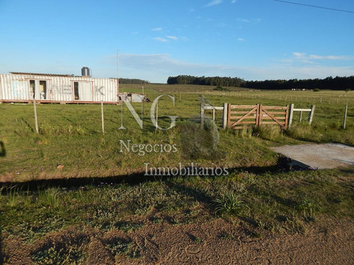 3 Hec. De Muy Buen Campo Con Contenedor Hecho Vivienda