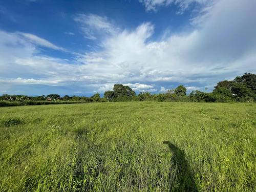 Lote Sub Urbano A La Venta La Tebaida Quindio