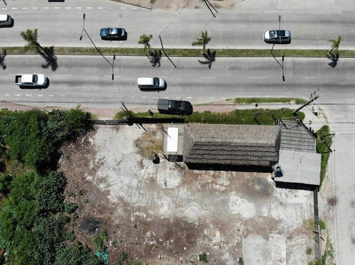 Imagen 8 de 10 de Terreno - Tigre