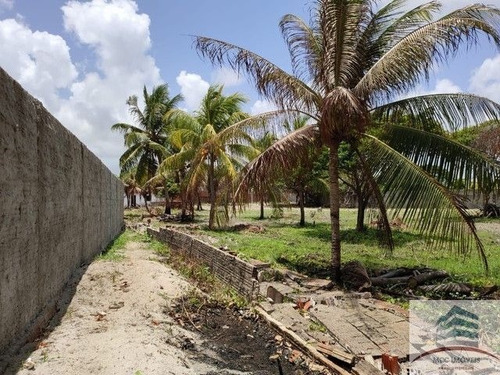 Imagem 6 de 6 de Granja A Venda Na Praia De Porto Mirim, Ceara Mirim