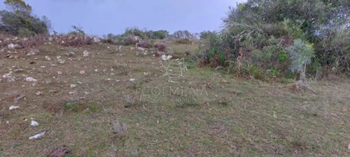 Campo En Carape Son 42 Hs 2293 M2