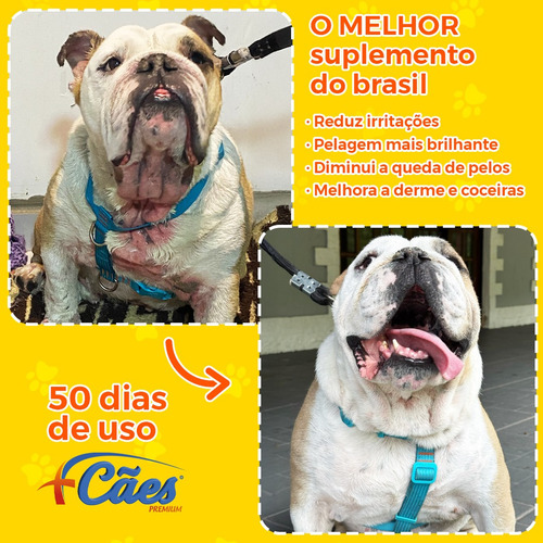 Vitaminas Caes Yorkshine Buldogue Frances Chihuahua 250g
