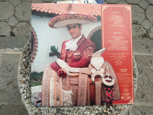 Alejandro Fernández Acetato Disco Lp Envío Gratis Excelente (Usado)