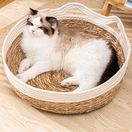 Cesta Para Cama De Gato Tejida A Mano Cama De Salón