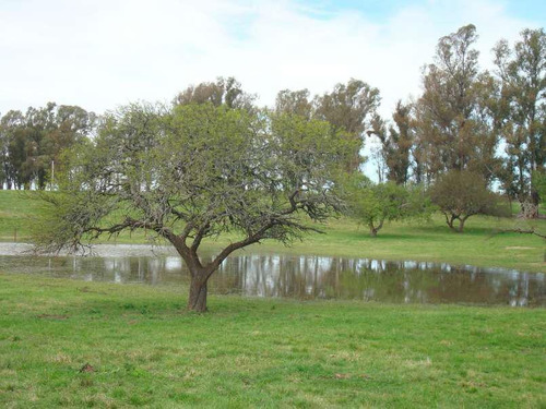 Imagen 5 de 16 de Venta Lote Terreno 3000 M2 Chacras Del Rincón - Timbues