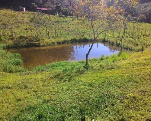 Imagem 15 de 23 de Sitio De 6 Alqueires - St00019