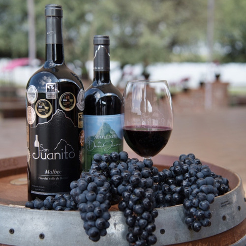 Abolengo De Don Juan Malbec Vino Tinto Mexicano C Medallas