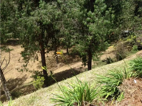 Lote En Venta En Envigado