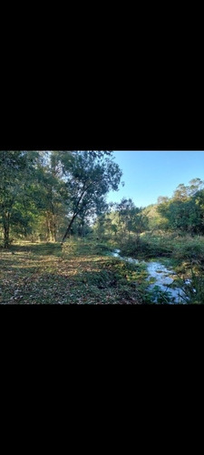 Imagen 5 de 13 de Chacra,campo Muy Centrica A 4km Del Centro De Jardin Americo
