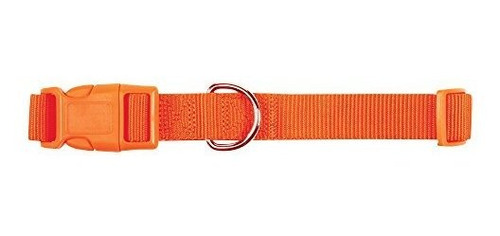 Zack Y Zoey  De Ancho Collar De Perro De Nylon, Se Ajusta A 